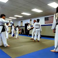 Wings Academy Taekwondo ico