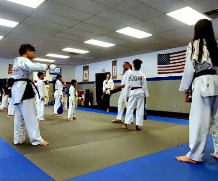 Wings Academy Taekwondo