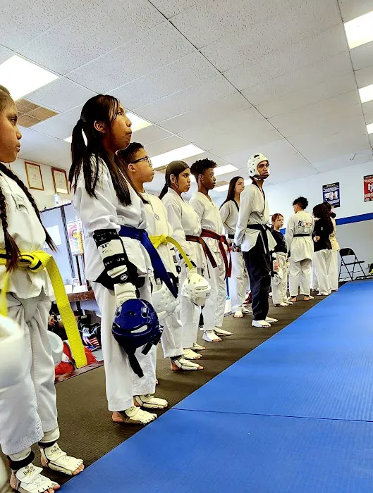 Wings Academy Taekwondo Picture 3