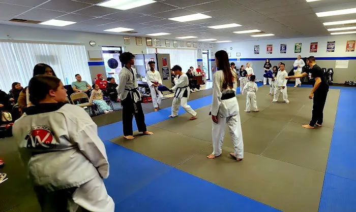Wings Academy Taekwondo Picture 4