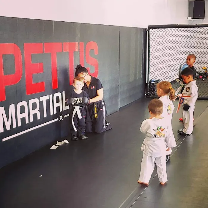 Pettis Martial Arts Picture 7