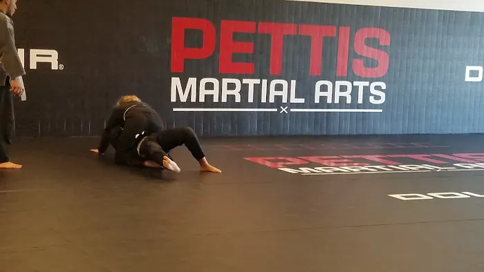 Pettis Martial Arts Picture 2