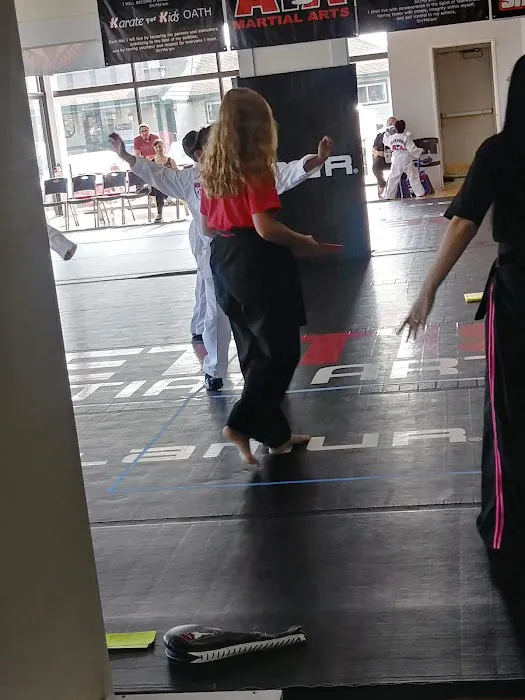 Pettis Martial Arts Picture 6