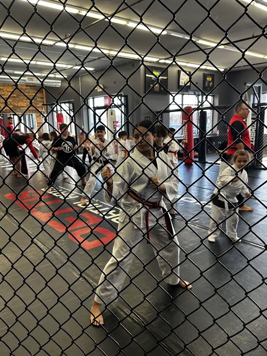 Pettis Martial Arts Picture 8