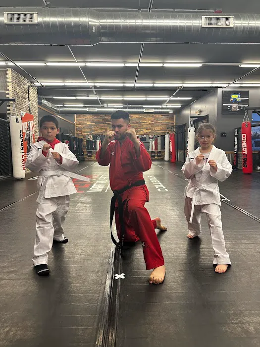 Pettis Martial Arts Picture 10