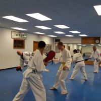 Hong's Taekwondo ico
