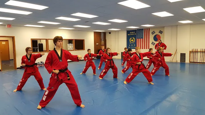 Hong's Taekwondo Picture 2