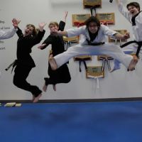 World Martial Arts Academy ico