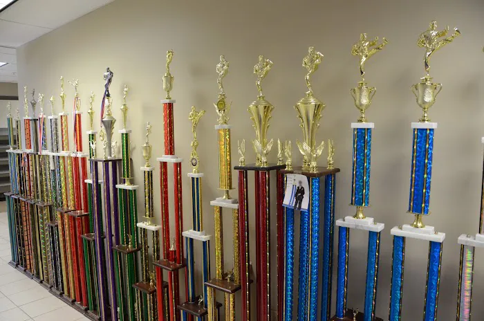 World Martial Arts Academy Picture 6