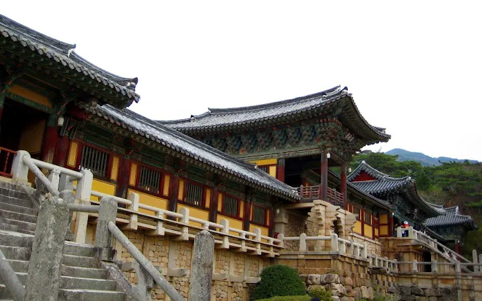 World Martial Arts Academy Picture 10