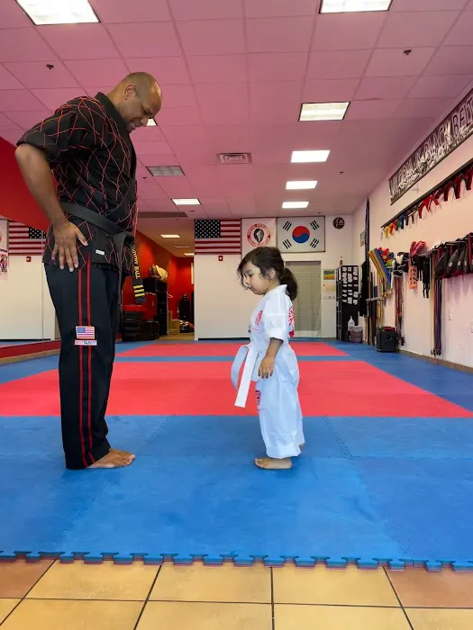 Martial Arts United Picture 5