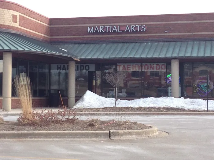 Martial Arts United Picture 6