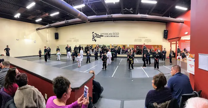 American Dojo Martial Arts Picture 3