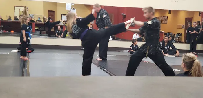 American Dojo Martial Arts Picture 4