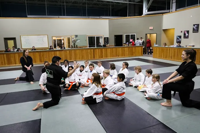 Infinity Martial Arts Middleton Picture 6