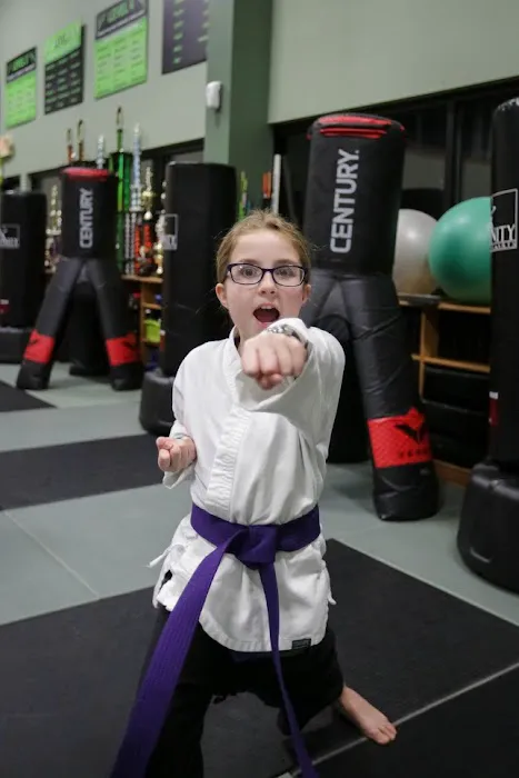 Infinity Martial Arts Middleton Picture 8