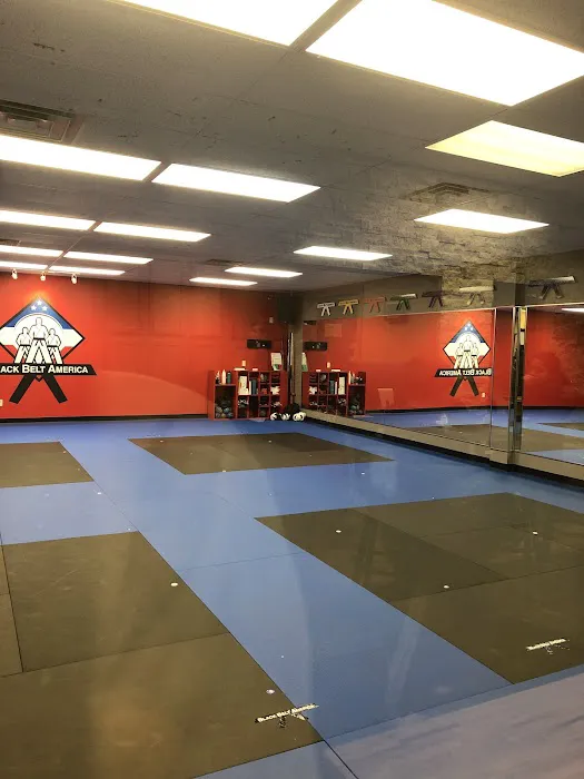 Black Belt America | Martial Arts School | Madison Picture 1