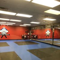 Black Belt America | Martial Arts School | Madison ico