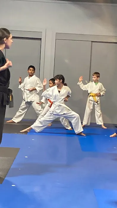 Black Belt America | Martial Arts School | Madison Picture 4