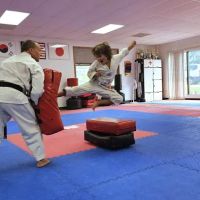 Masaki Martial Arts ico