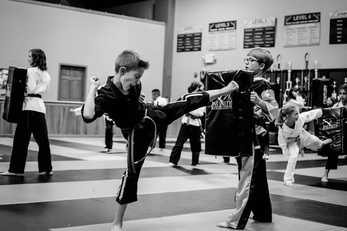 Infinity Martial Arts Madison Picture 8