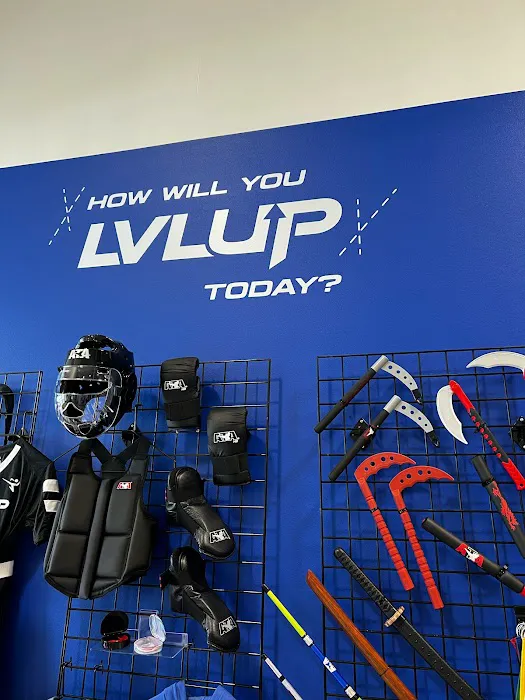 LVLUP Martial Arts - East Madison Picture 1