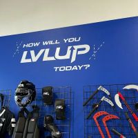 LVLUP Martial Arts - East Madison ico