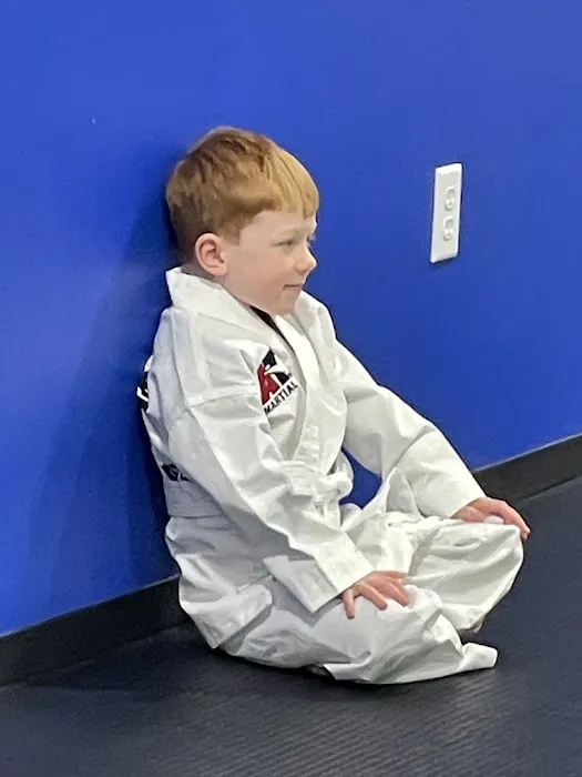 LVLUP Martial Arts - East Madison Picture 3