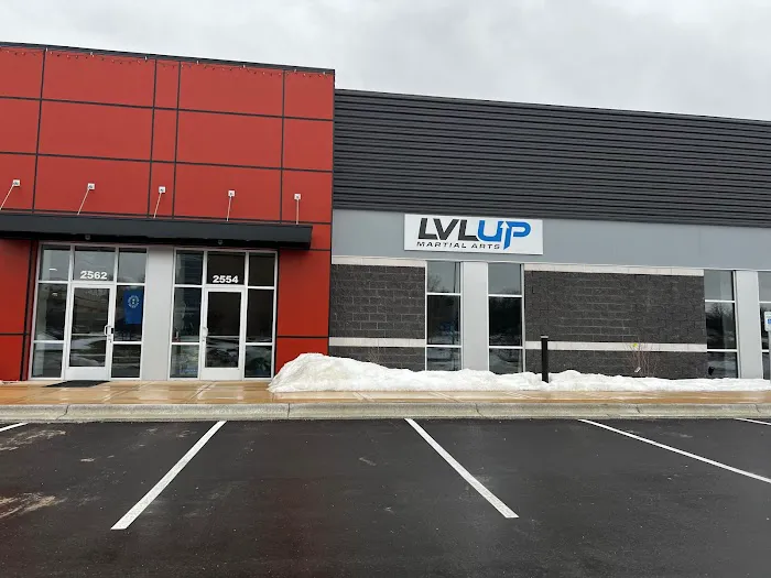LVLUP Martial Arts - East Madison Picture 4