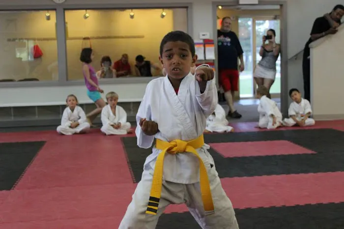 Kicks Unlimited Family Martial Arts Center Picture 3