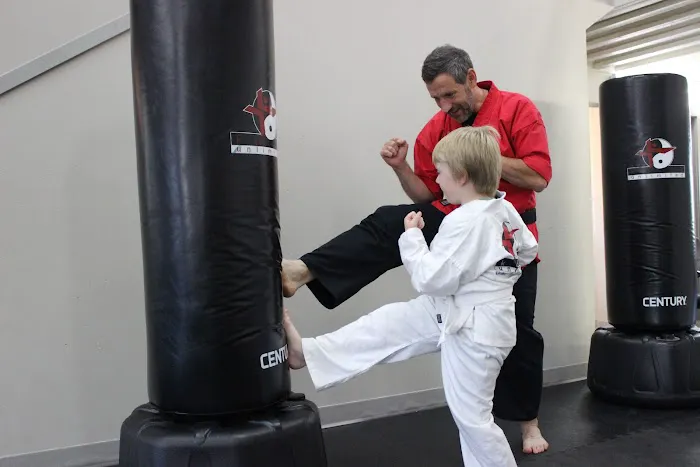 Kicks Unlimited Family Martial Arts Center Picture 8