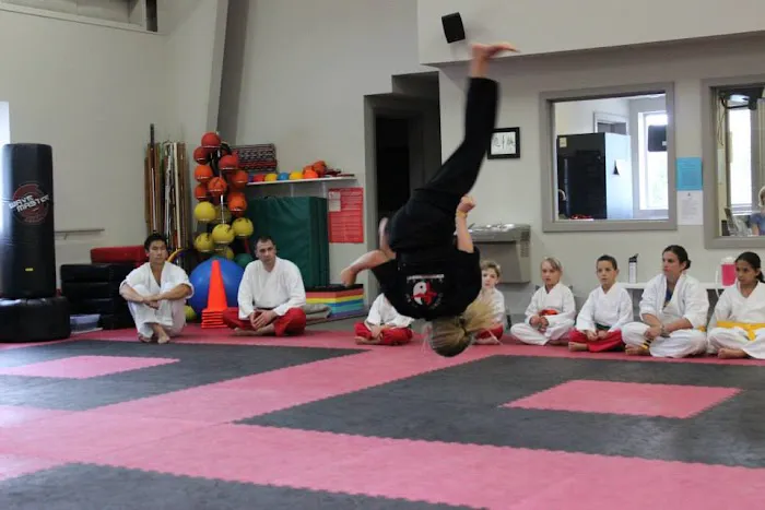 Kicks Unlimited Family Martial Arts Center Picture 1