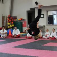 Kicks Unlimited Family Martial Arts Center ico