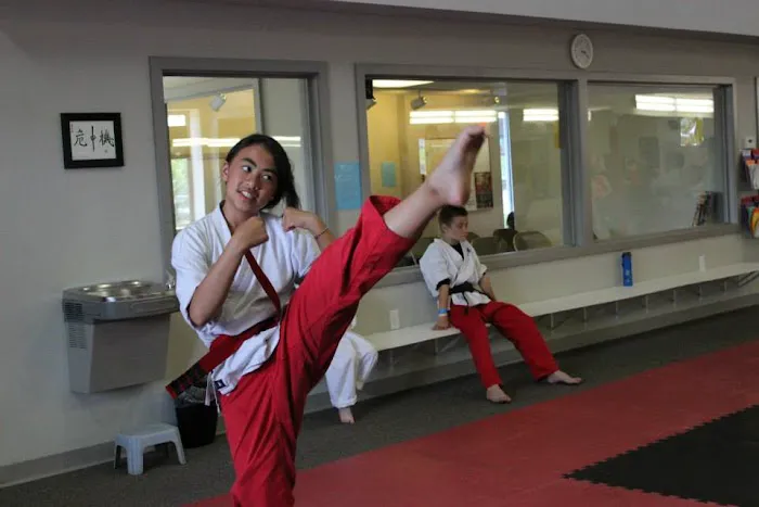 Kicks Unlimited Family Martial Arts Center Picture 5