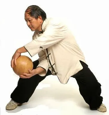 Y.M.A.A. Tai Chi Ch'uan of Wisconsin Picture 6