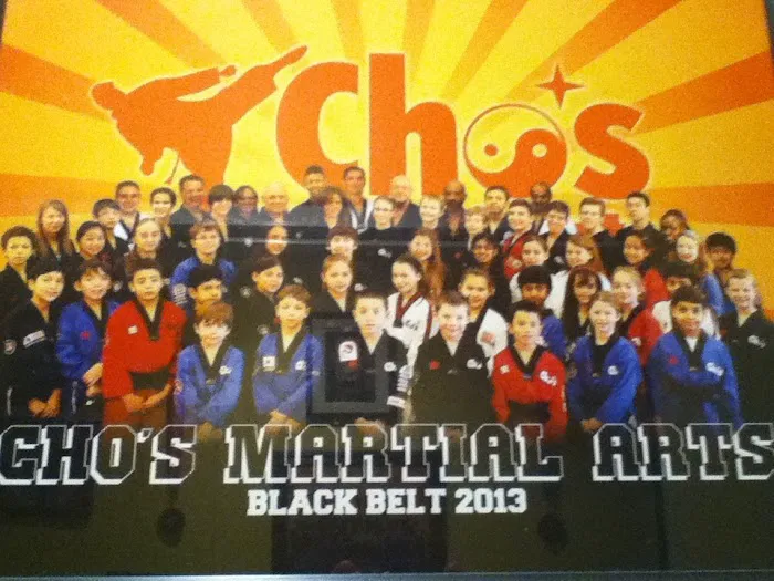 Cho's Martial arts Picture 3