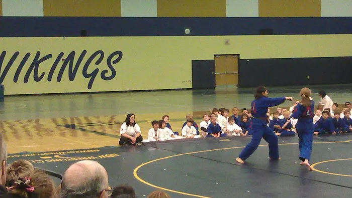 TrueNorth Martial Arts Picture 2