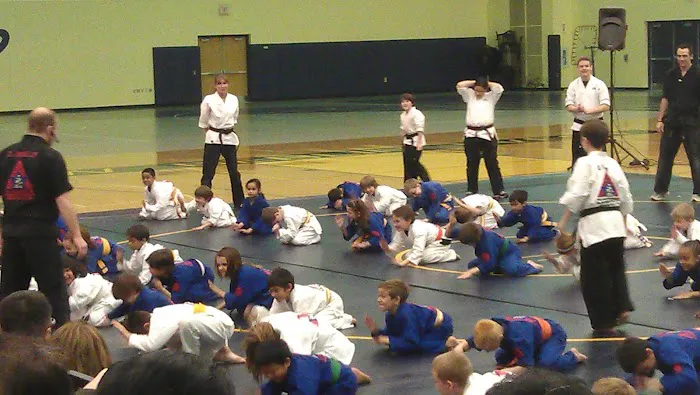 TrueNorth Martial Arts Picture 3
