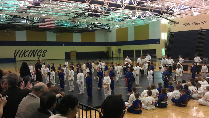 TrueNorth Martial Arts Picture 7