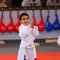 J.K. Lee Black Belt Academy ico