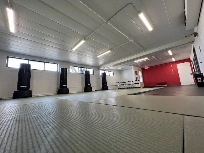 INTEGRATED FITNESS LLC Picture 1