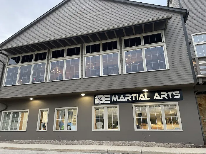 BE Martial Arts Picture 5