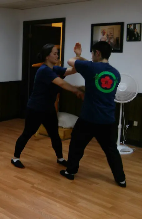 Moy Yat Kung Fu School of Waukesha Picture 1