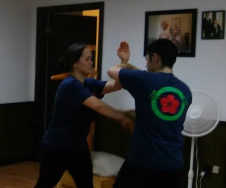 Moy Yat Kung Fu School of Waukesha