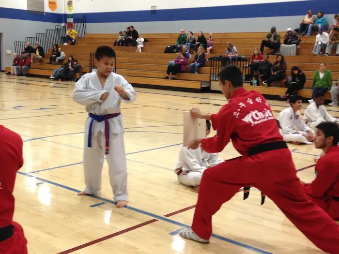 Cho's Martial Arts Picture 3