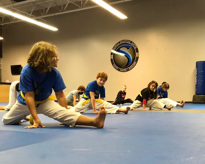 Surge Martial Arts Picture 4