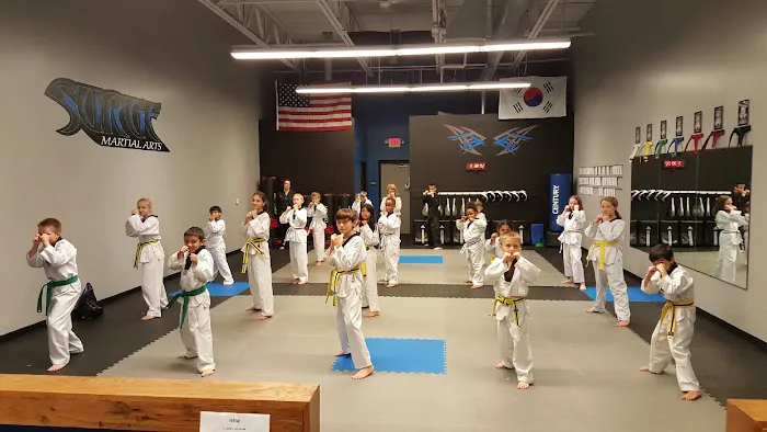 Surge Martial Arts Picture 7
