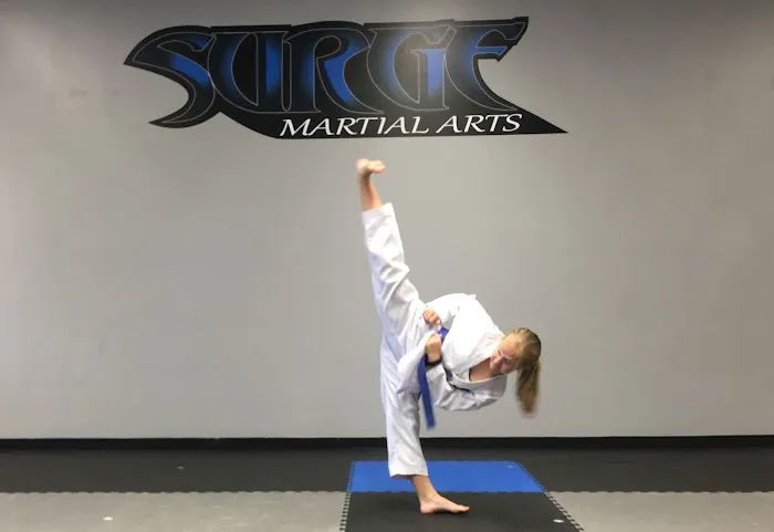 Surge Martial Arts Picture 2
