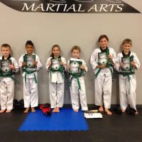 Surge Martial Arts ico