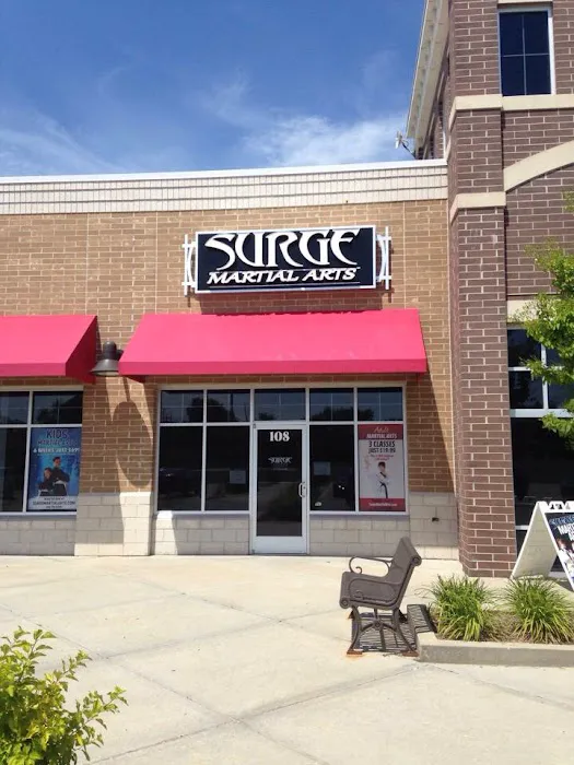 Surge Martial Arts Picture 6